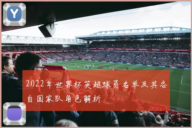 2022年世界杯英超球员名单及其各自国家队角色解析