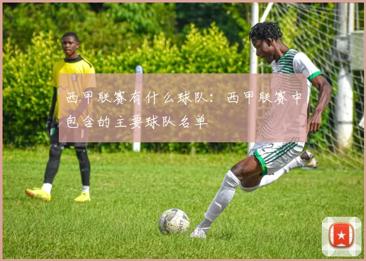 西甲联赛有什么球队：西甲联赛中包含的主要球队名单